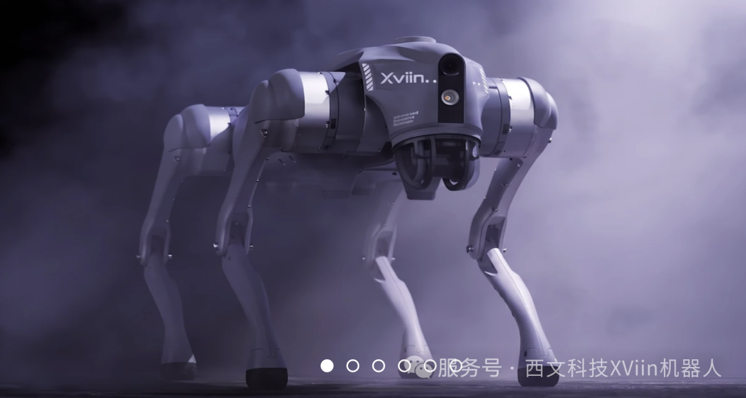 下一个超级产业风口：具身智能